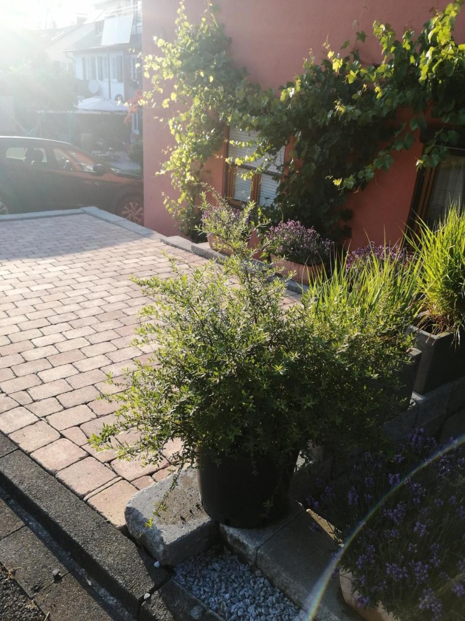 Haus Meersburg See Екстер'єр фото